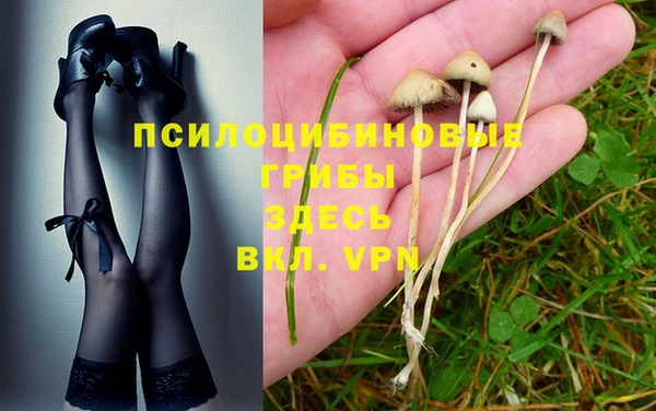 ECSTASY Краснотурьинск