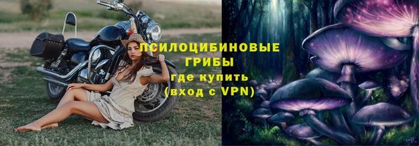 хмурый Краснослободск