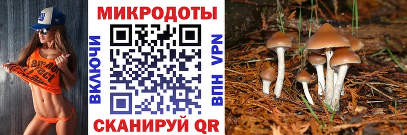 Галлюциногенные грибы прущие грибы  Купить где  Бикин 